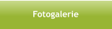 Fotogalerie